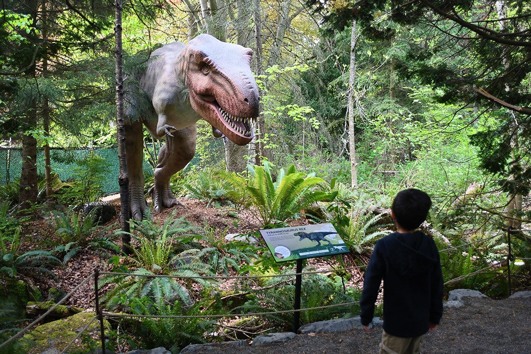 dinosaurs at woodland park zoo